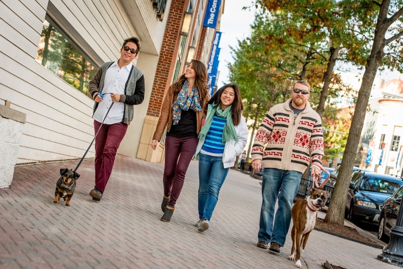 Residential_WalkingDogs.jpg