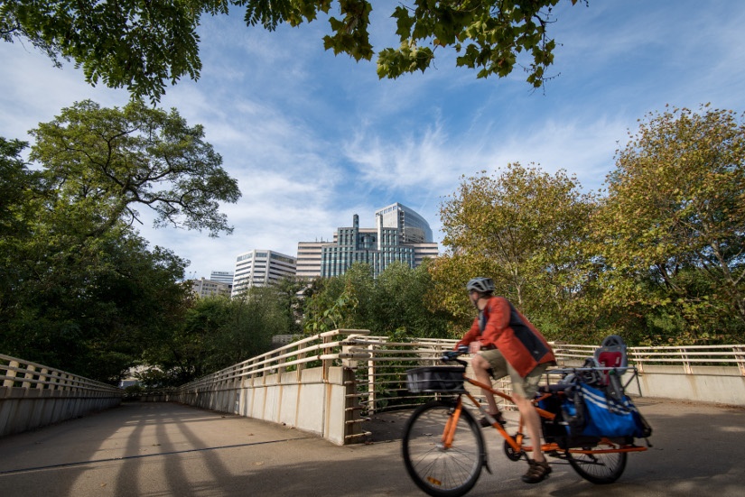 bike-trail-panniers.jpg