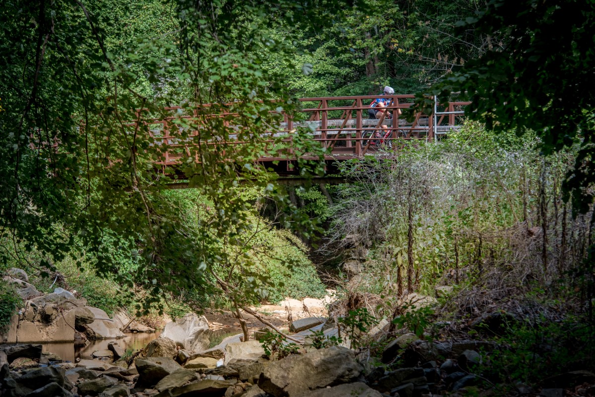 biker-nature-bridge