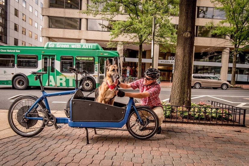 cargo-bike-dog-bus