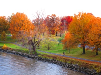 Arlington Cemetery Fall Foliage