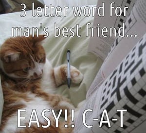 Cat crossword