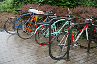 Bike Rack