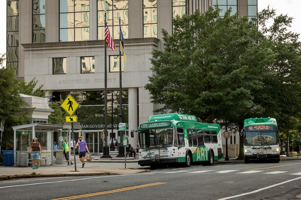 art-buses-at-county-building