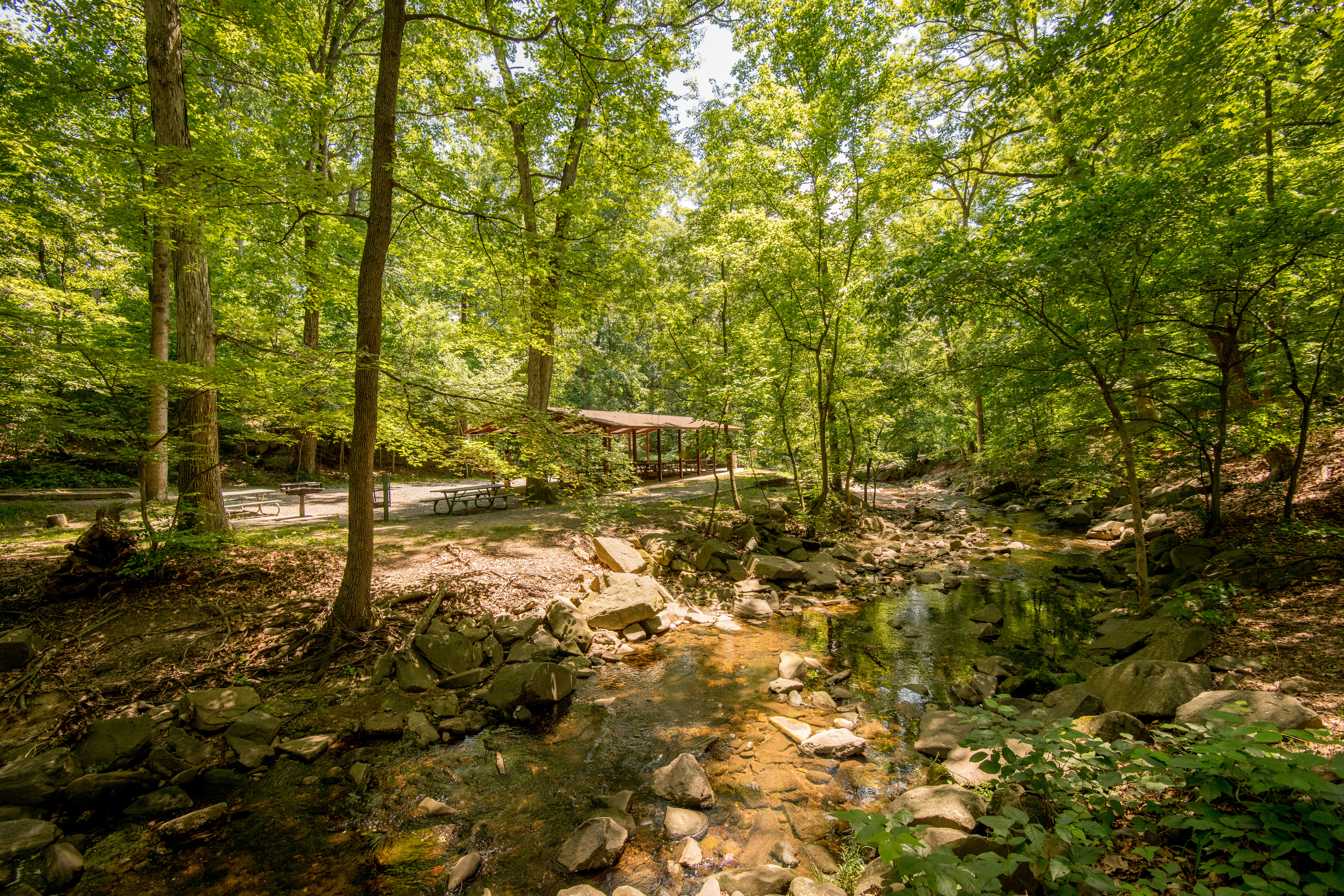 Getting from Earth Day to Earth Month in Arlington