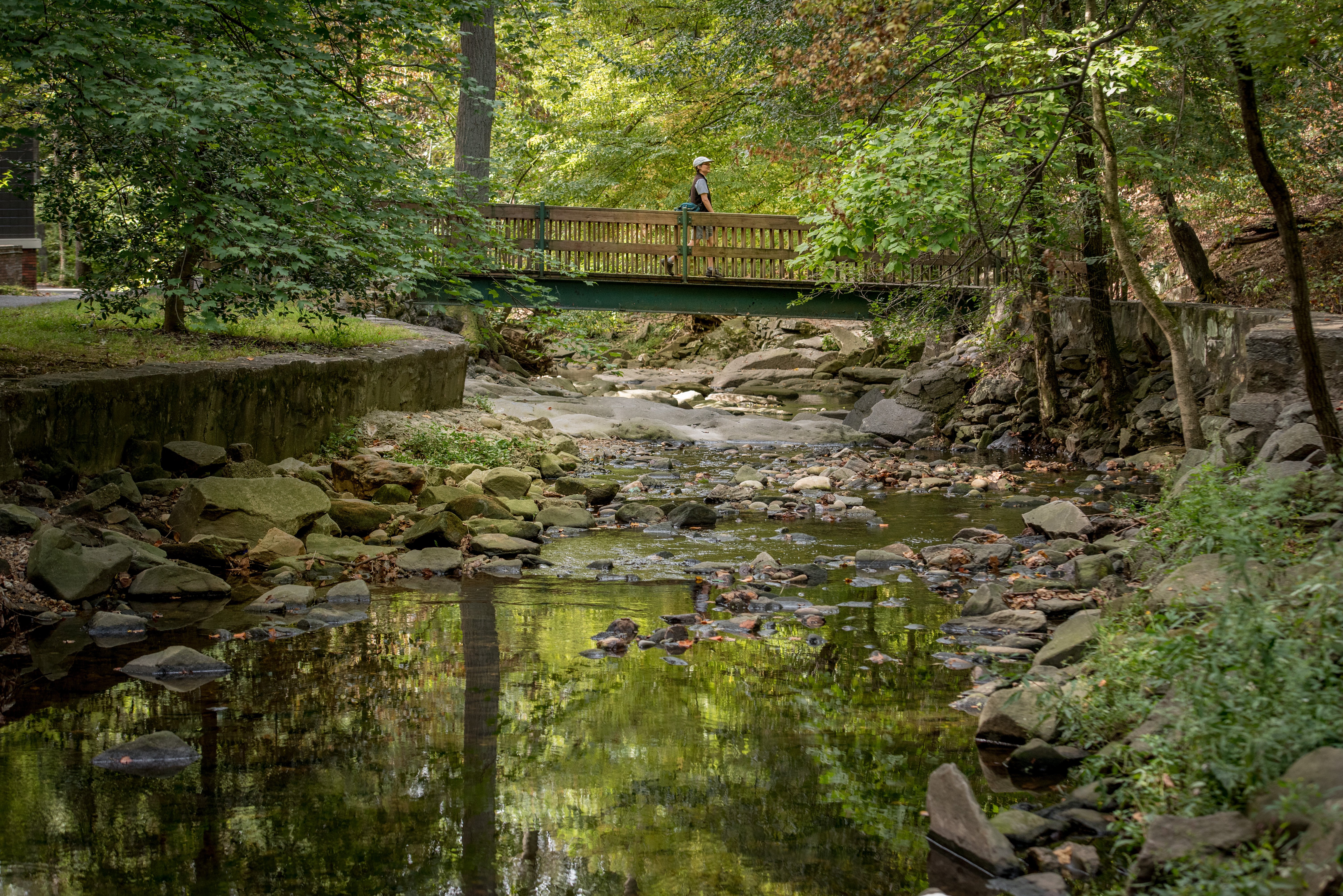 Image of a park with a person crossing a bridge over water