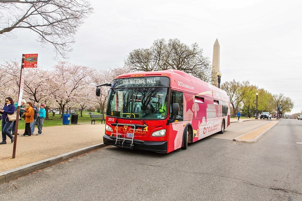 Experience Arlington in Bloom: Top Cherry Blossom Spots and How to Get There