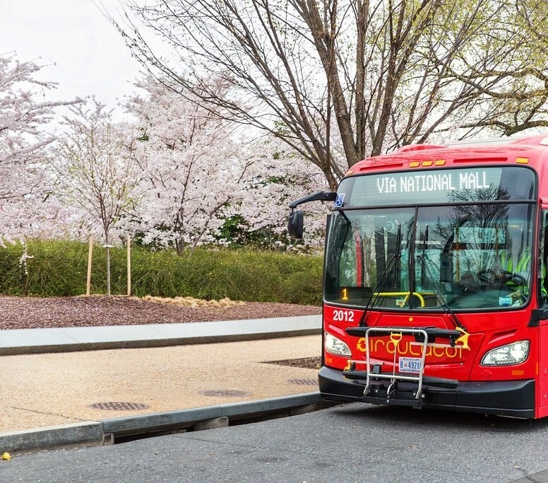 Experience Arlington in Bloom: Top Cherry Blossom Spots and How to Get There